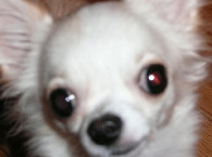 mokocha009011.jpg